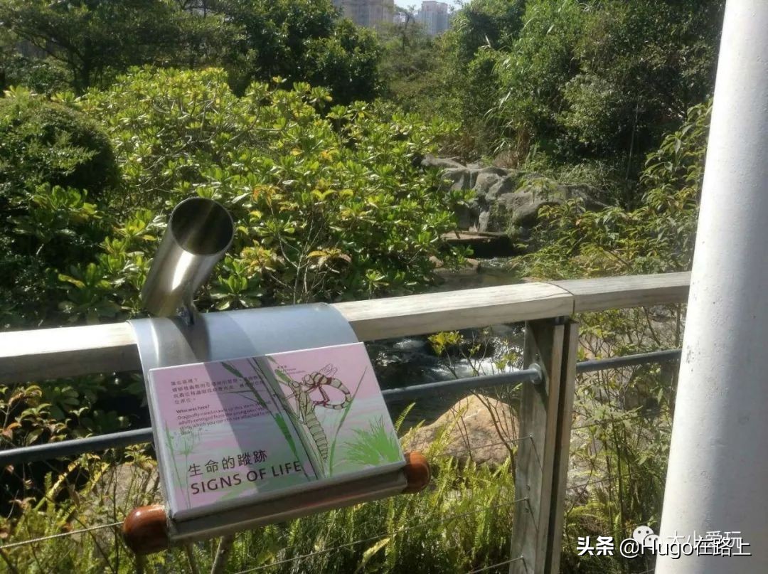 去香港亲子旅行攻略路线图片,香港亲子游最佳路线图