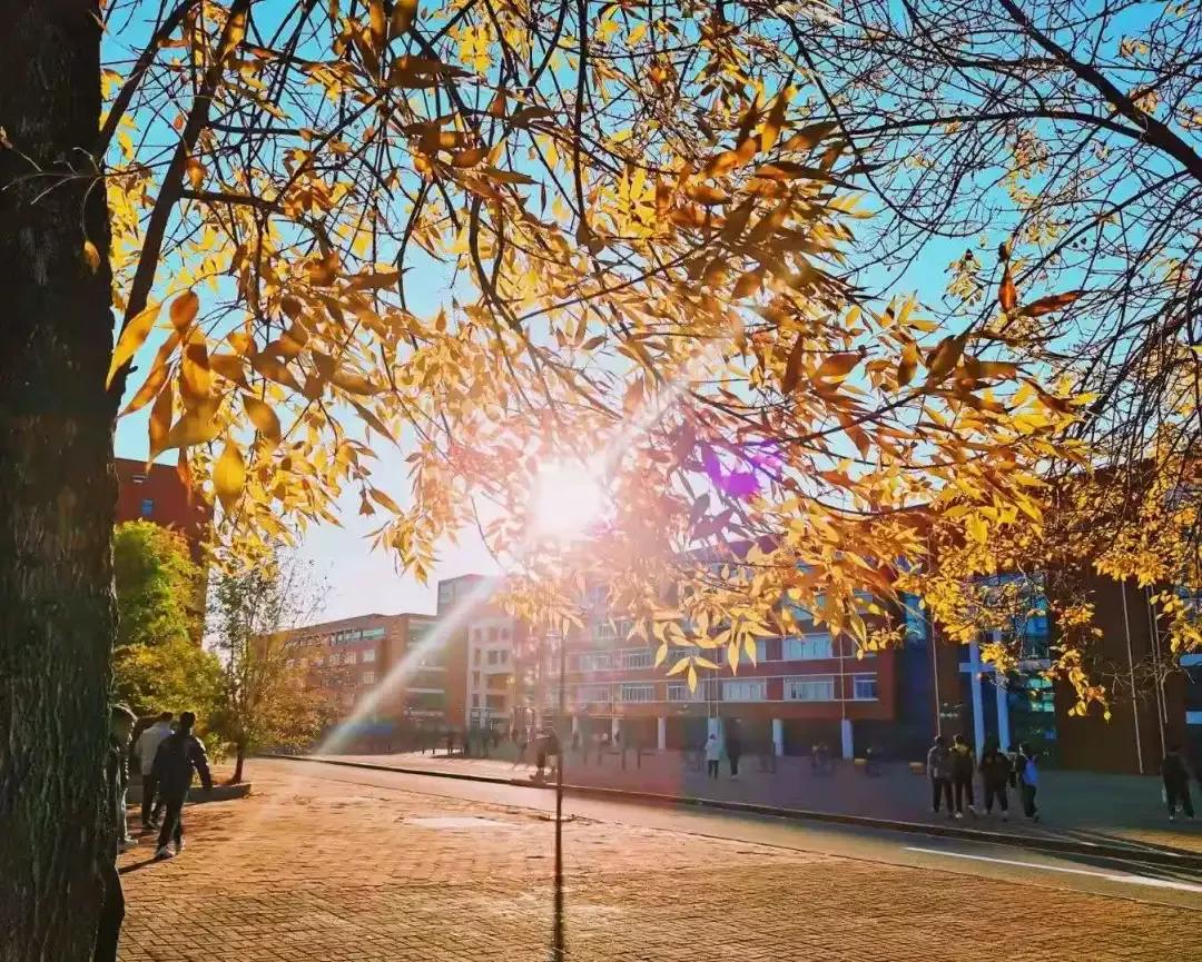 营口理工学院咋样,辽宁省公办高校营口理工学院