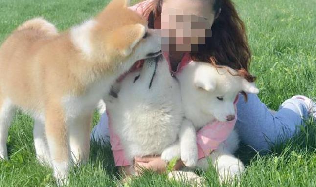 你家狗狗有这些行为你就偷着乐吧,主人做哪些动作会让狗狗开心