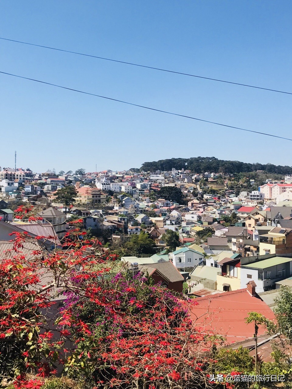 一个人旅行的女生,一个女生去越南自由旅行