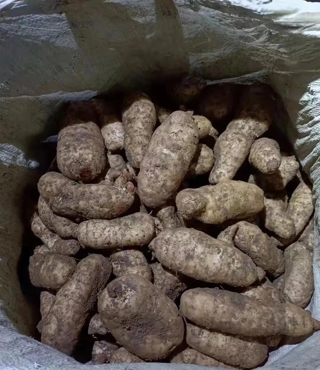 上海工作十几年回郑州发展,上海创业10年回家乡