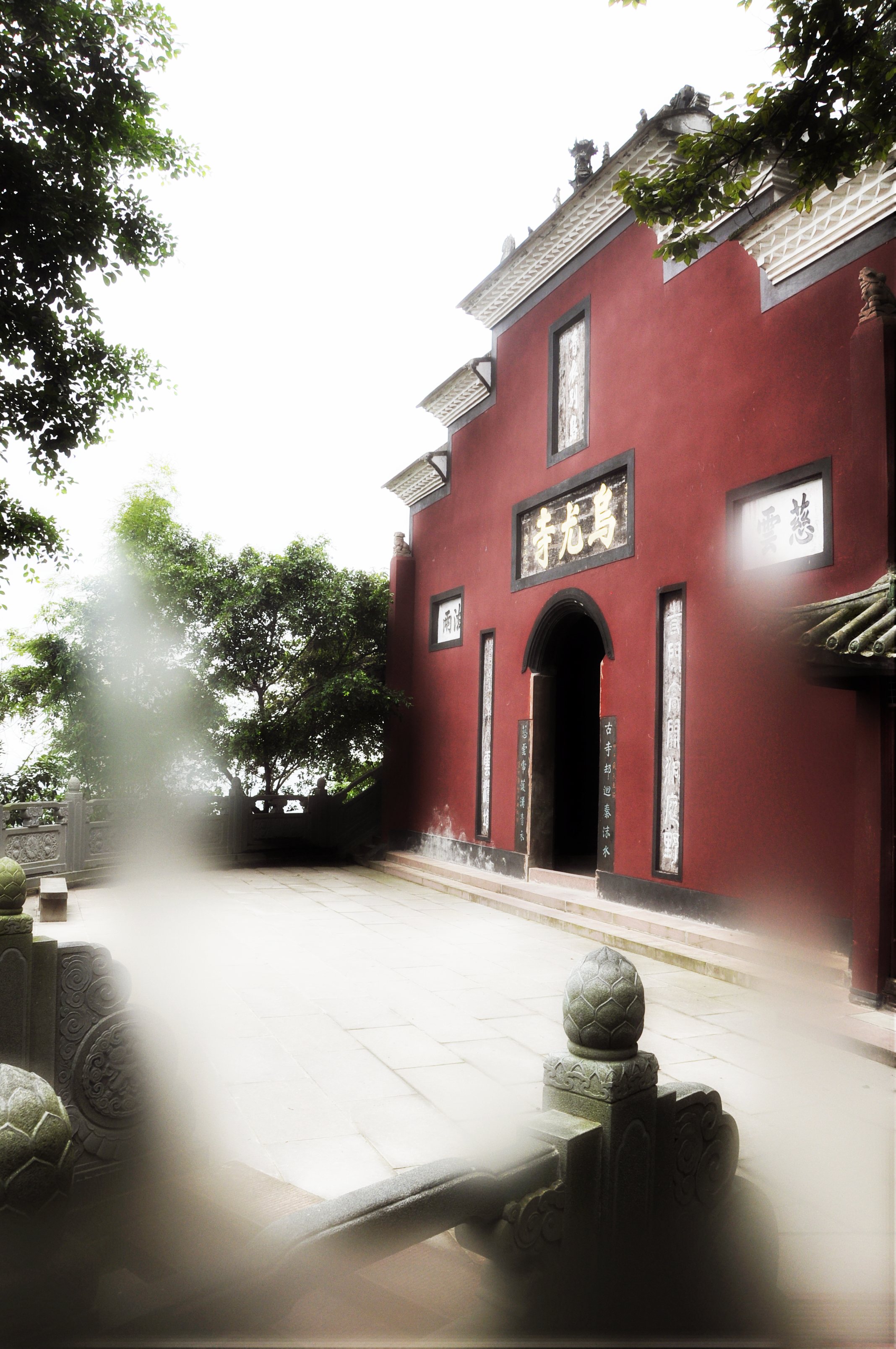 #2020生机大会#——好一个“乐”字令人神往