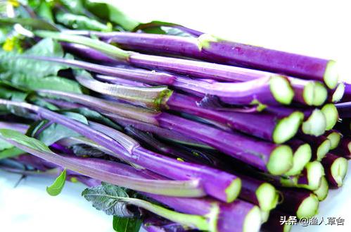 中国地理标志农产品品牌有标识吗,全国农产品地理标志排名