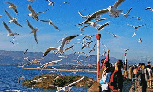 记住：“你真漂亮”别再说Youresobeautiful