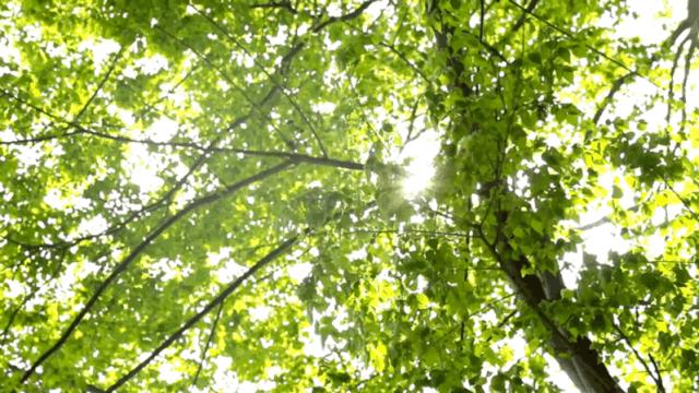 陕西秦岭最美的小城在哪里,秦岭深处的小县城暗藏着绝美秋色