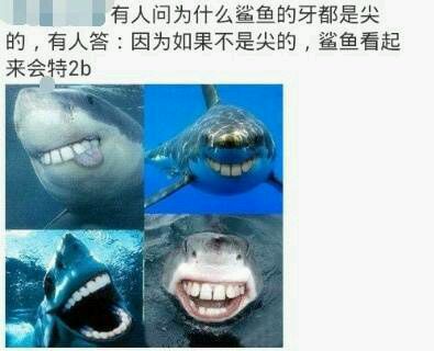 回忆过去放下执念,为什么一个人经常怀念过去