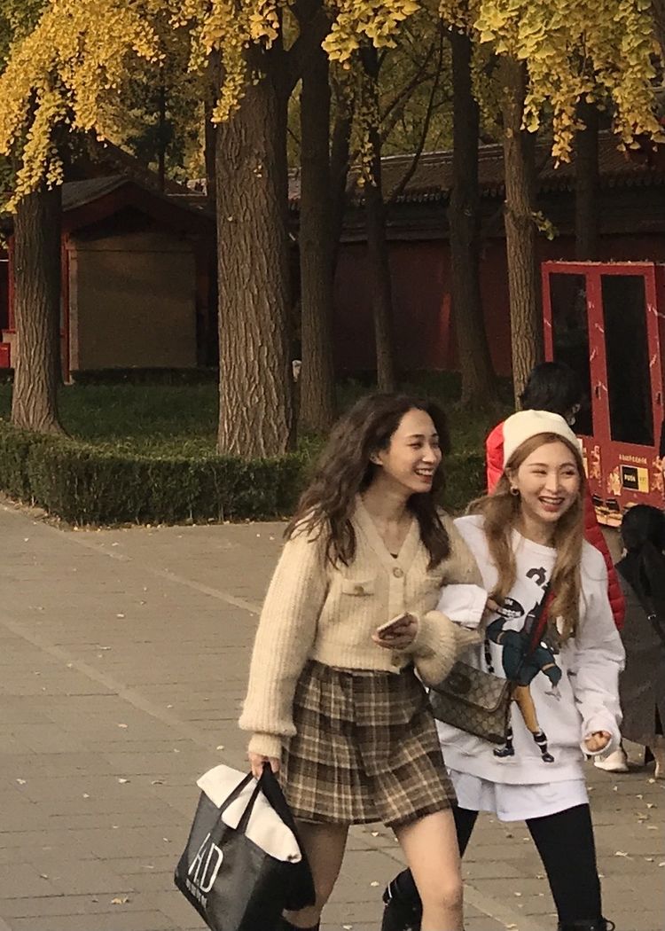 金色的北京犬,金色的北京现代汽车