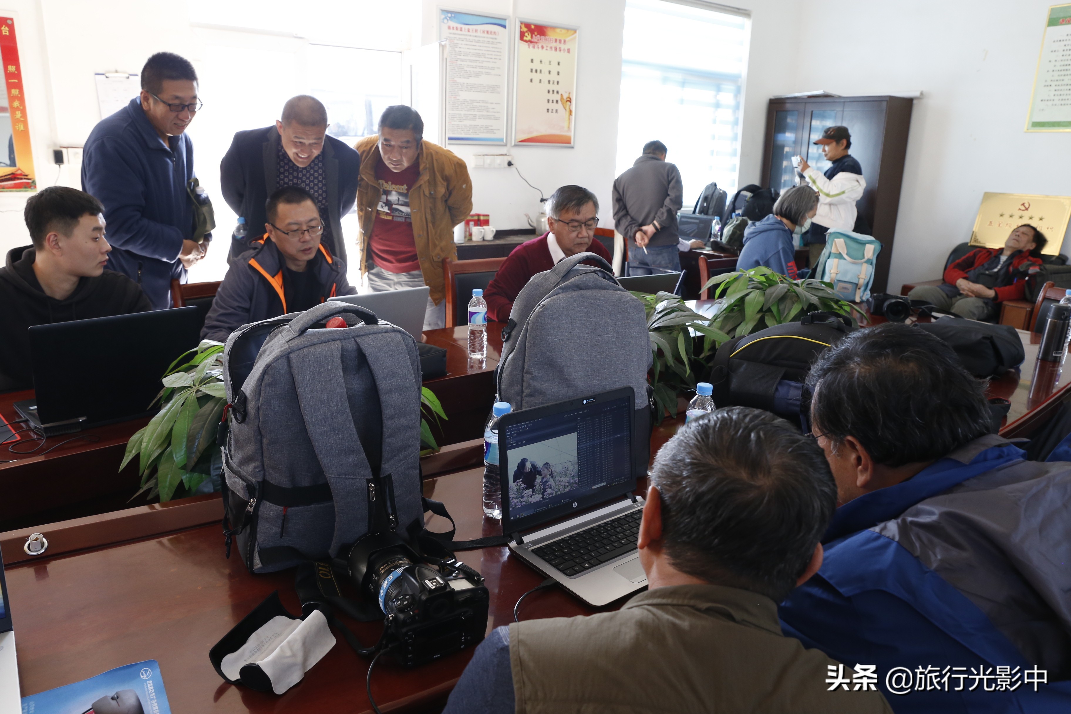 济南顶级摄影大咖，用镜头告诉你盆王菊花有多美