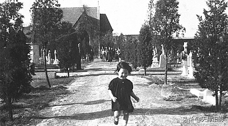 小蘑菇坟怎么处理,小蘑菇坟墓视频