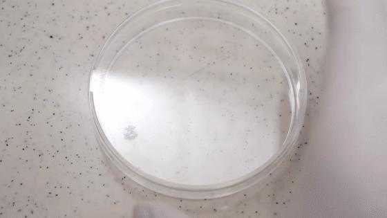 日本小哥攒钱,日本小伙收集指甲做戒指