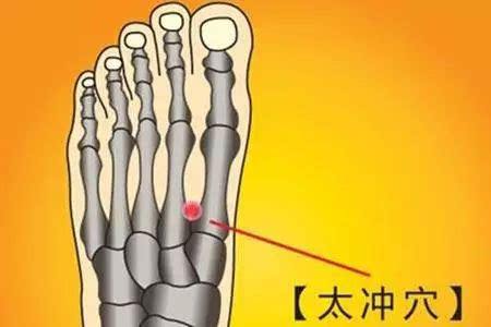 学习经络穴位难吗,经络口诀解释