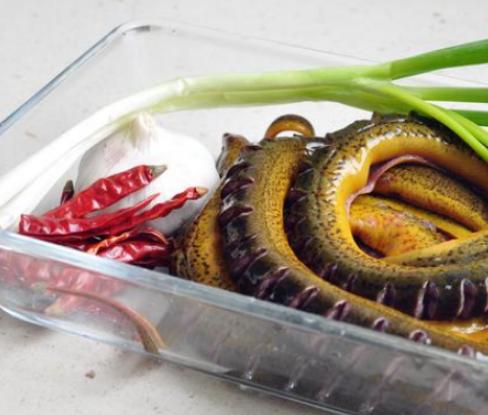 黄鳝怎么做最好吃又能去掉寄生虫,黄鳝去滑的简单方法