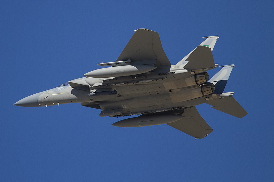 猫咪需要哪些用品,猫迷惑新技能