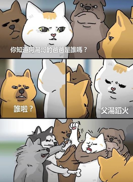 万万没想到,我从外国朋友那里收藏的神梗图,竟成为圈粉利器