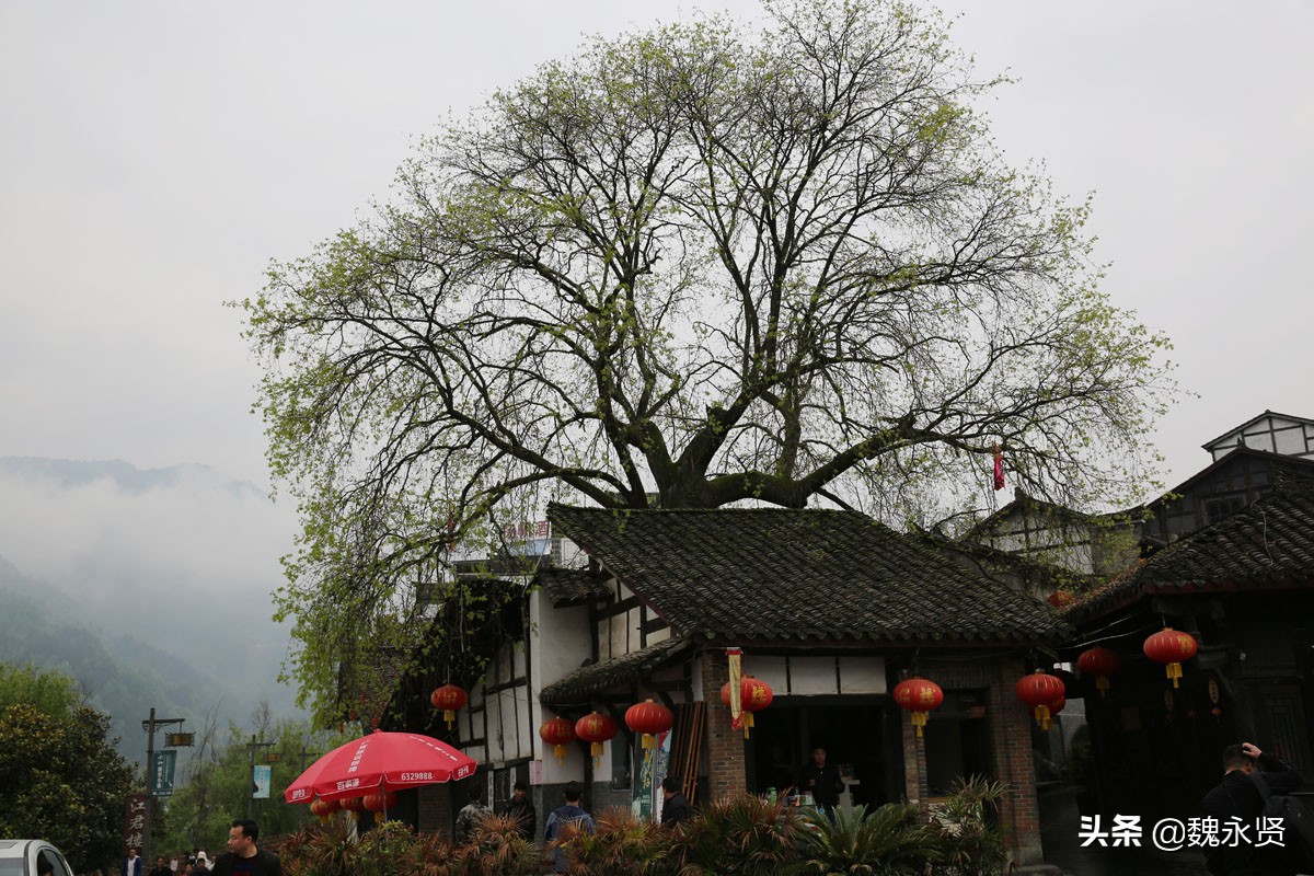 石泉后柳古镇：坐大游船划小木船游汉江，走进老街吃腊肉吃鱼