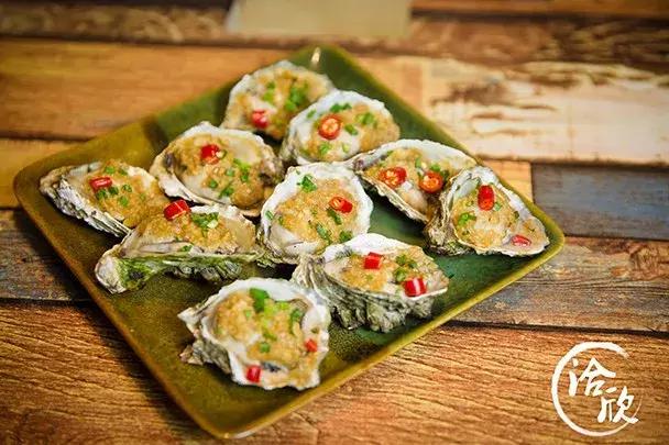 鱼控要疯了~光靠颜值就已经圈粉无数