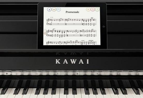 电子琴和电钢琴怎么选择,电子琴和电钢琴哪个更适合初学者