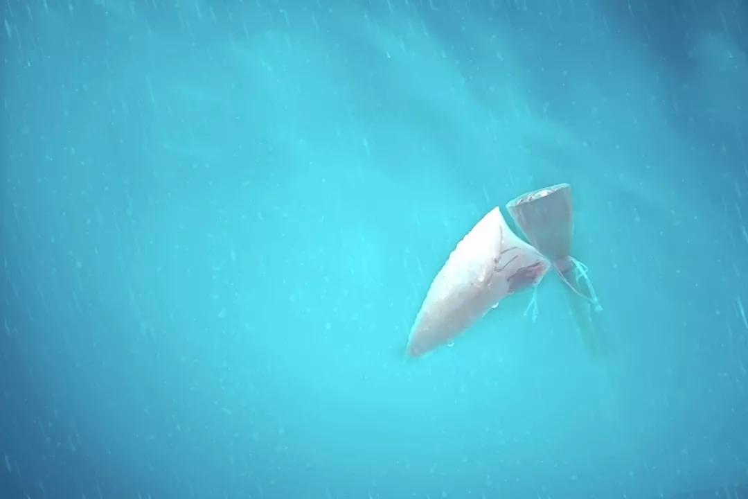 描写荷塘月色的诗句优美的,荷塘月色的诗句大全