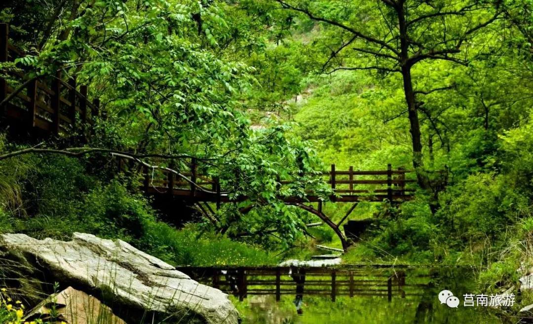 莒南自驾游免费景点大全图片,莒南春季游玩好去处推荐