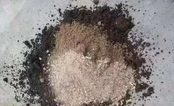 如何利用废弃的塑料瓶养花,可乐瓶养花神器