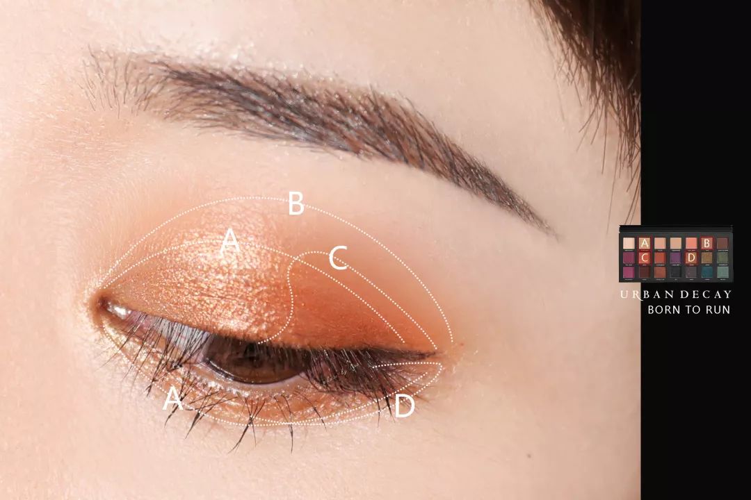 牛油果眼妆,牛油果眼影搭配教程