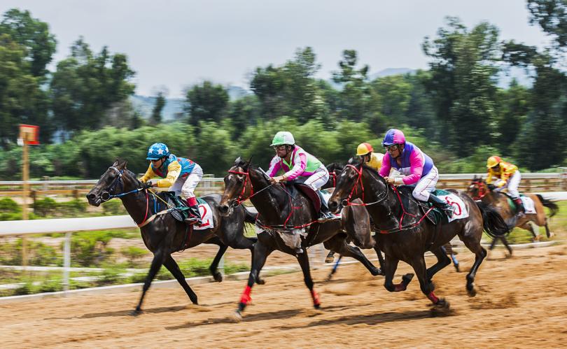 踏马滇池？百万名马乘骑等你来体验