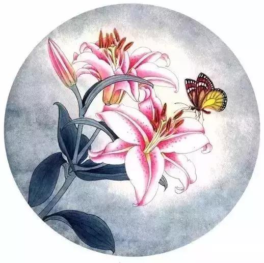 工笔百合花朵设色步骤,工笔重彩油画百合