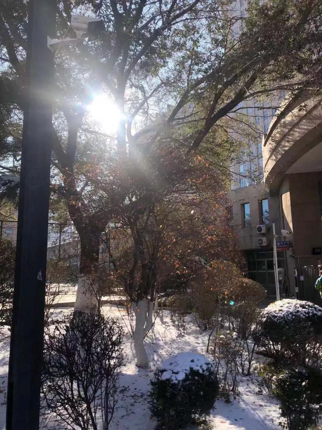 辽宁大学和鲁迅美术学院,辽宁省鲁迅美术学院是985吗