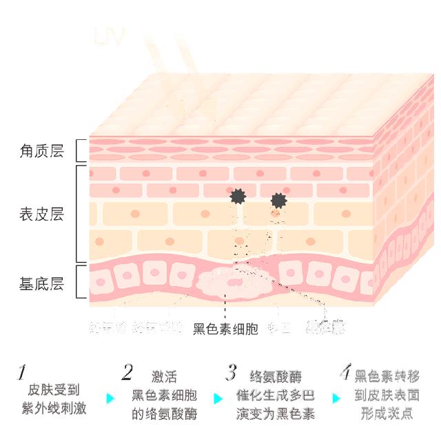 祛斑效果最好的祛斑方法,长斑了祛斑真实有效的方法