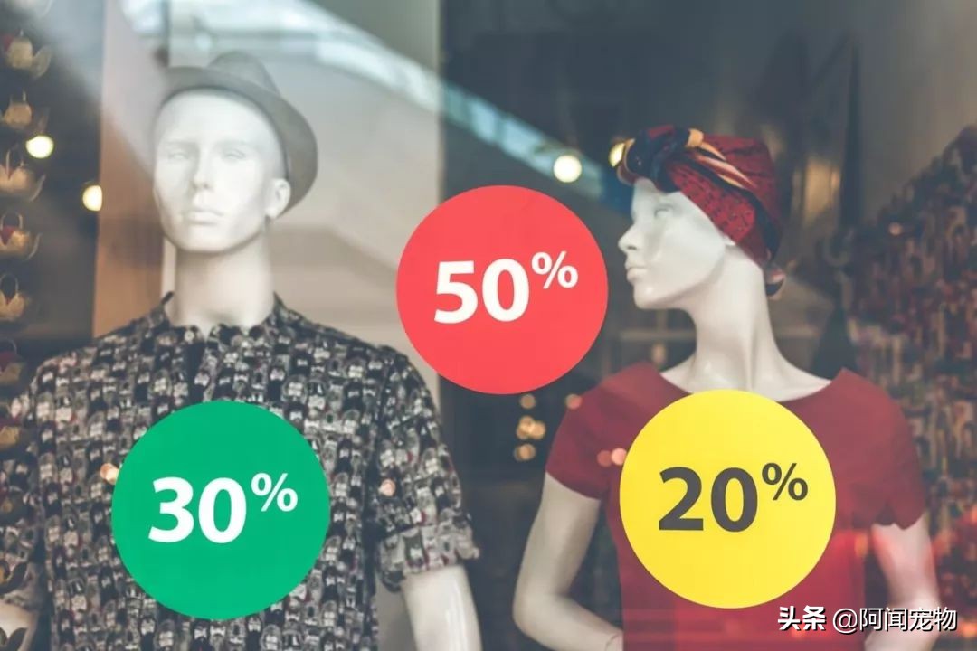 养宠物如何选择戴森,养猫家庭除毛必备戴森