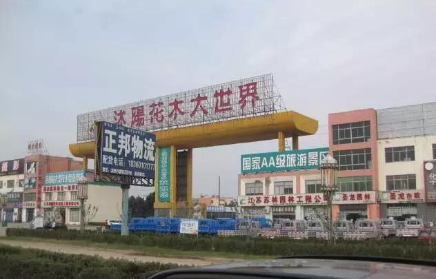 全国花木之乡在哪里,中国十大花木基地