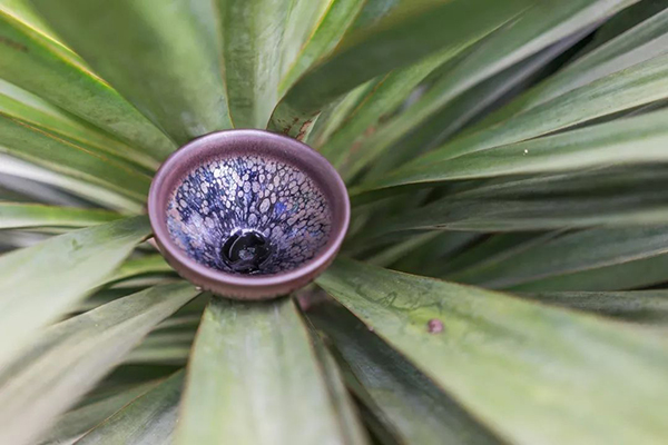 建盏开盏正确方法,建盏怎么选才好