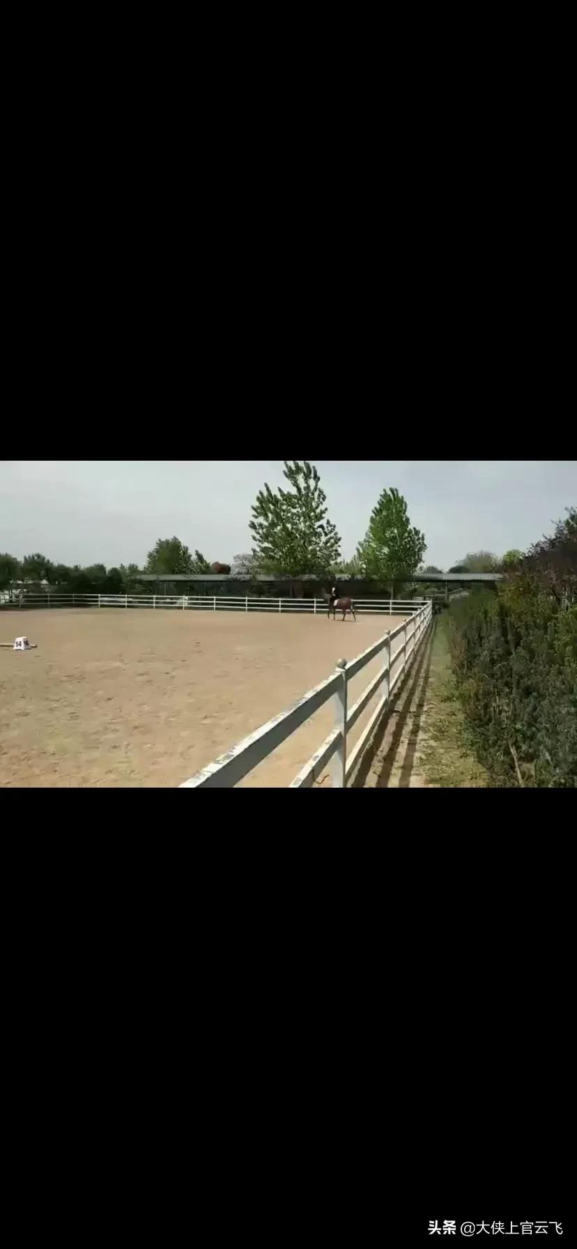 马的特点和赋予人的品格,每匹小马都有不同的性格