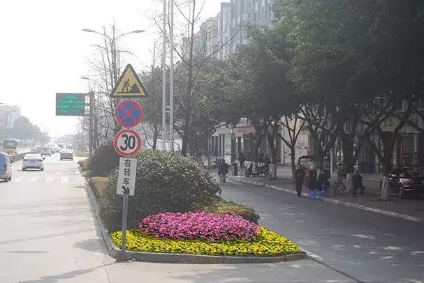 双流区绿化景观,双流县景观花园设计