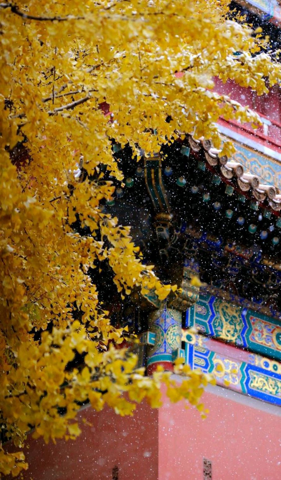 八月未央美文欣赏,七月未央散文