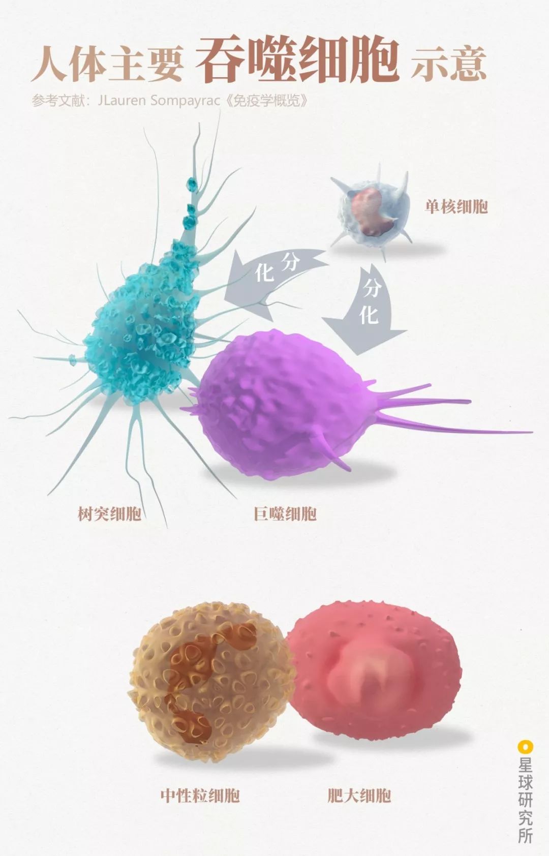 鍋囧鐥呮瘨鎰熸煋浜嗘垜,鍋囧鐥呮瘨鎰熸煋浜嗕綘