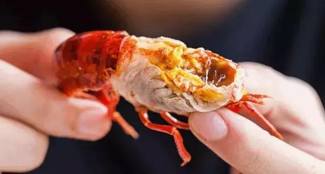 襄阳万达200斤龙虾免费吃！襄阳吃货小分队邀你17一起吃