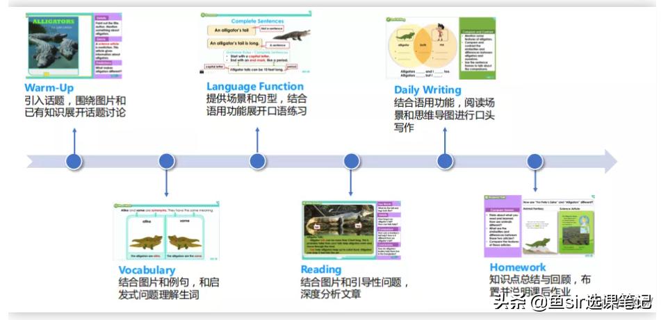 鲸鱼外教培优,鲸鱼外教培优效果怎么样