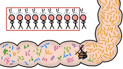 不节食减肥运动快速燃脂,不运动不反弹的健康减肥
