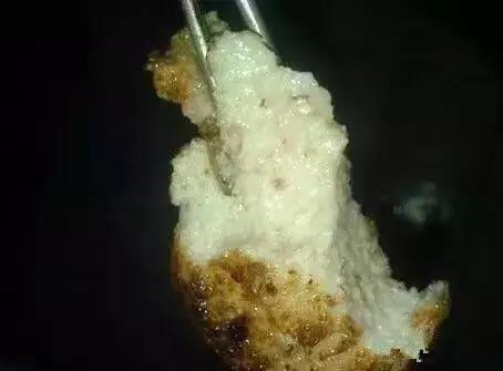 *疆新**也有很多“奇葩”的食物,有的看到反胃,有的念念不忘