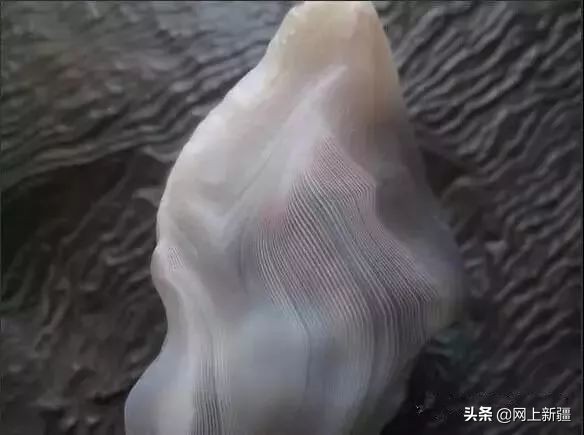 戈壁滩上的宝贝,新疆戈壁沙漠上的宝贝