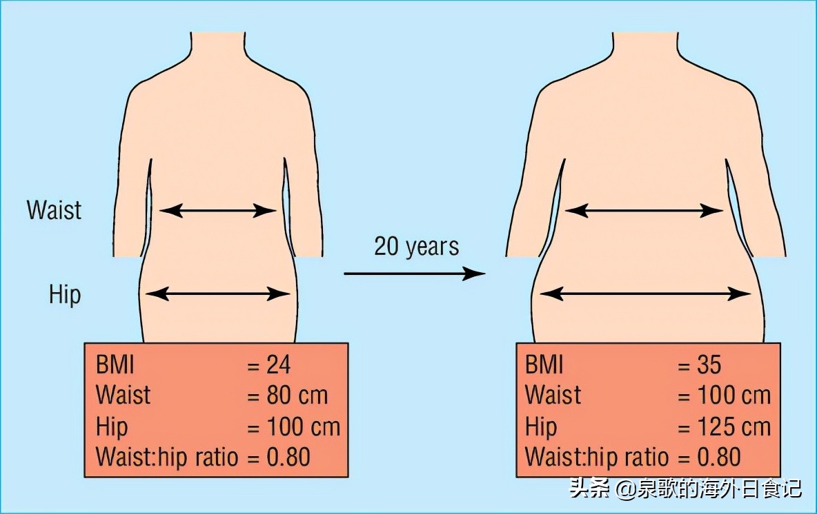 腰臀比健康值范围,腰臀比对应身材