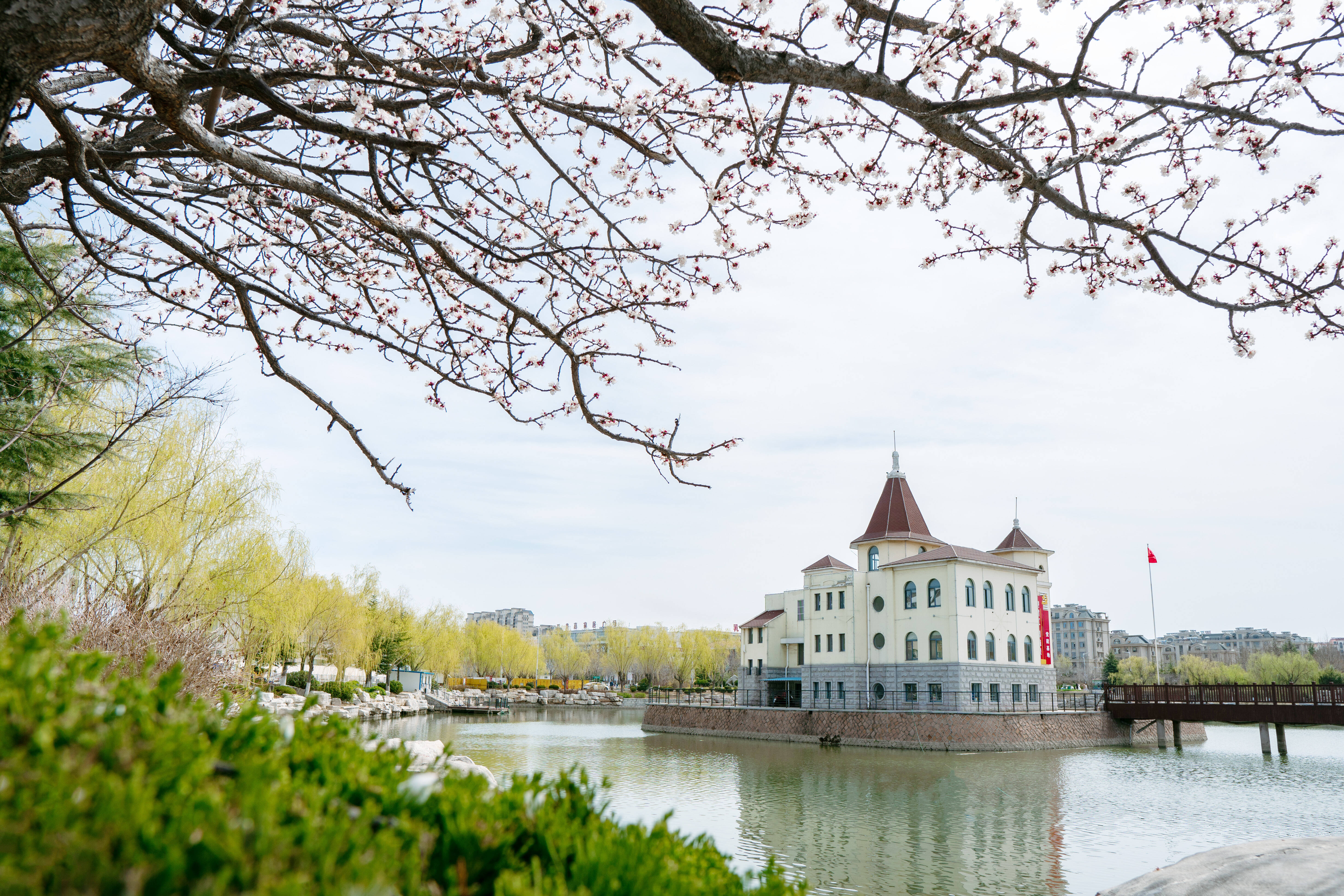 航拍乳山美景视频,乳山的美景