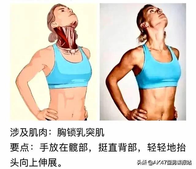 从小白到健身达人十大步骤,从健身小白到健身达人励志