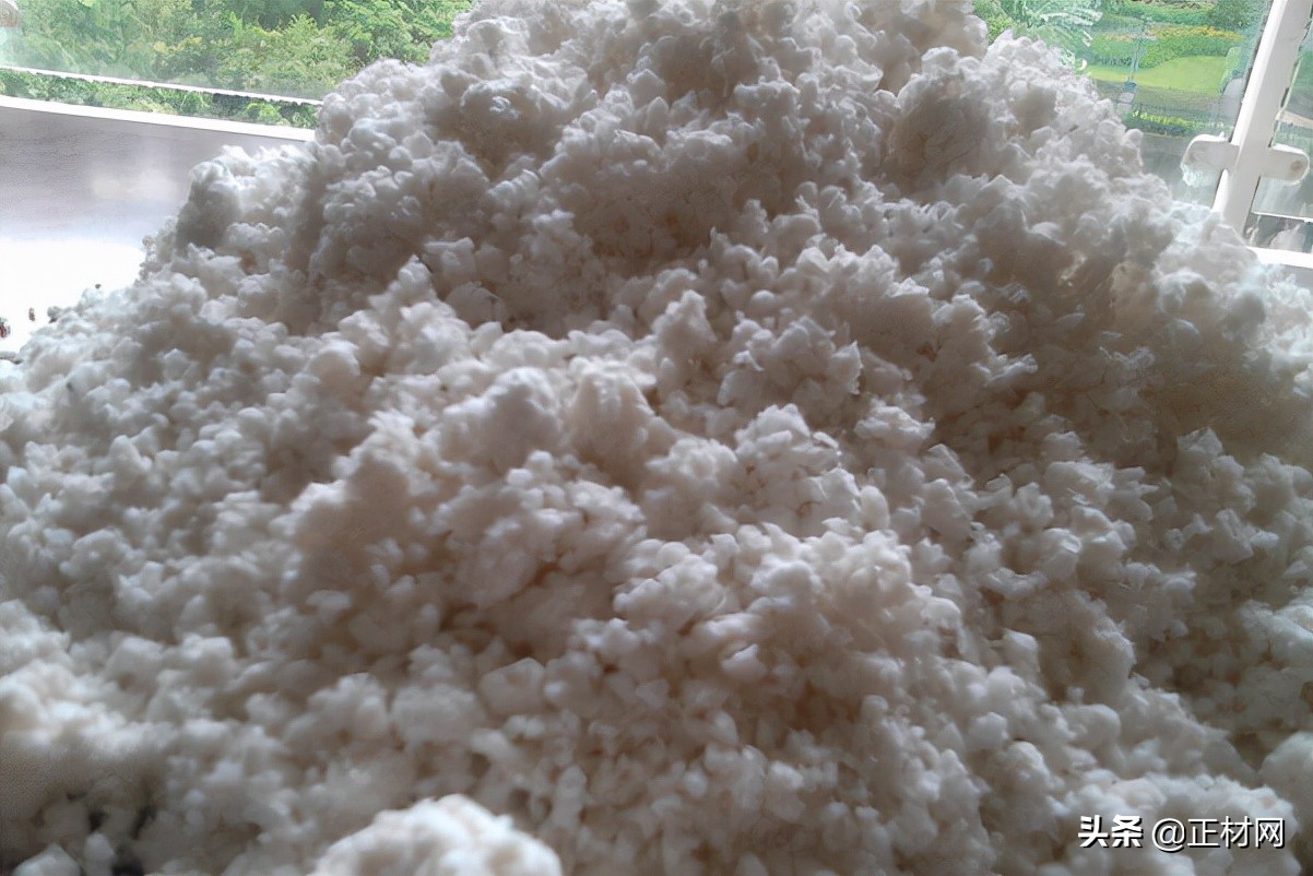 辐射松一般用途介绍,辐射松为什么这么好