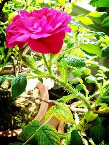 教你如何避开假货买到真品,一张图告诉你怎样分辨假货