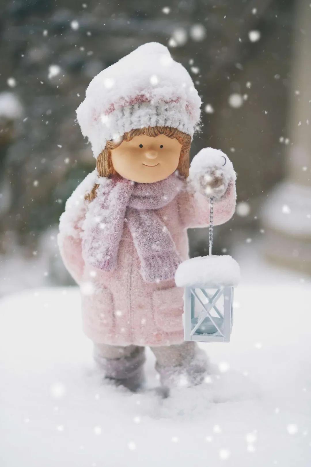 东北花园四季开花植物,北方一年四季都开花的花园