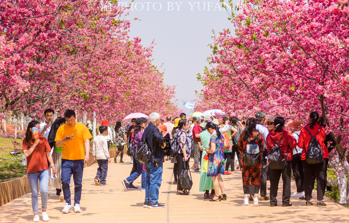 七彩云南旅游真实感受,什么是七彩云南