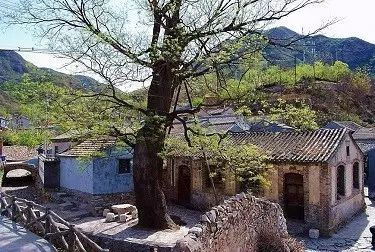 探寻古村视频,寻找神秘古村