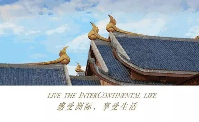 深藏在森林之中的温泉酒店,隐藏在森林里的豪华酒店